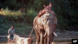 China Myanmar Logging