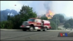 Лісові пожежі у Каліфорнії спустошують славнозвісні виноробні регіони Лісові пожежі у Каліфорнії спустошують славнозвісні виноробні регіони