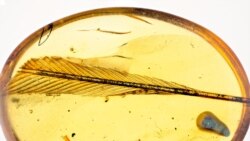 စစ်အစိုးရ လက်အောက် ၂ နှစ် အတွင်း သိပ္ပံဆိုင်ရာ အပြောင်းအလဲများ.mp3 စစ်အစိုးရ လက်အောက် ၂ နှစ် အတွင်း သိပ္ပံဆိုင်ရာ အပြောင်းအလဲများ.mp3