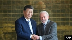 2024年11月20日,中国国家主席习近平在巴西利亚阿尔沃拉达宫会见巴西总统卢拉时握手。