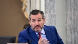 共和党联邦参议员克鲁兹(Sen. Ted Cruz, R-TX)