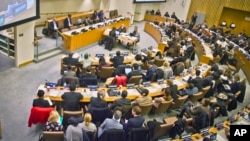 human rights committee