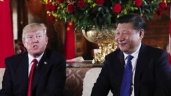 年终报道:川习第一年,交手也交心 年终报道:川习第一年,交手也交心