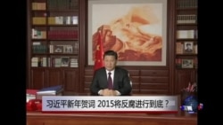 时事大家谈:习近平新年贺词,2015将反腐进行到底? 时事大家谈:习近平新年贺词,2015将反腐进行到底?