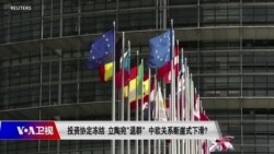 时事大家谈:投资协定冻结 立陶宛“退群”,中欧关系断崖式下滑? 时事大家谈:投资协定冻结 立陶宛“退群”,中欧关系断崖式下滑?