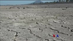 အောရီဂွန်ပြည်နယ် တောမီးနဲ့ ရေရှားပါးမှု အောရီဂွန်ပြည်နယ် တောမီးနဲ့ ရေရှားပါးမှု