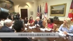 川普总统在白宫会晤女性工商界人士 川普总统在白宫会晤女性工商界人士