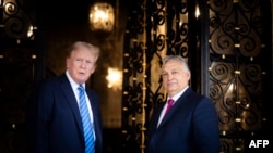 在这张由匈牙利总理办公室于2024年7月11日拍摄并发布的照片中,匈牙利总理维克托·奥尔班(右)与美国前总统唐纳德·特朗普在佛罗里达州棕榈滩海湖庄园的庄园合影。