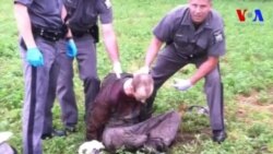 David Sweat bị cảnh sát tóm như thế nào? David Sweat bị cảnh sát tóm như thế nào?