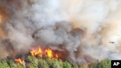 Khói từ cháy rừng có thể ảnh hưởng đến hoa cảnh trong vườn.