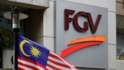 အဓမ္မအလုပ်ခိုင်းစေမှုစွဲချက်နဲ့ မလေးရှားဆီအုန်းကုမ္ပဏီ အမေရိကန်အရေးယူ အဓမ္မအလုပ်ခိုင်းစေမှုစွဲချက်နဲ့ မလေးရှားဆီအုန်းကုမ္ပဏီ အမေရိကန်အရေးယူ