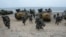 FILE - South Korean marines run out from amphibious assault vehicles after landing on the beach during a combined military amphibious landing exercise between South Korea and the U.S., in Pohang, South Korea, Sept. 2, 2024.