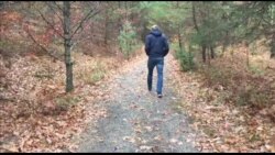 美国万花筒:特拉维峡谷秋意浓 美国万花筒:特拉维峡谷秋意浓