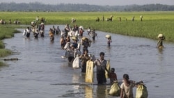 ရိုဟင်ဂျာ ကာကွယ်ရေး လုပ်ဆောင်ဖို့ ကန် အောက်လွှတ်တော်အမတ် လိုလား ရိုဟင်ဂျာ ကာကွယ်ရေး လုပ်ဆောင်ဖို့ ကန် အောက်လွှတ်တော်အမတ် လိုလား
