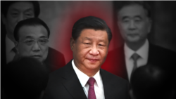 放眼中共二十大:反习势力今何在
 放眼中共二十大:反习势力今何在