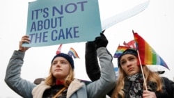 同性伴侣领养孩子成美高院下一场较量? 同性伴侣领养孩子成美高院下一场较量?