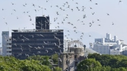 ဟီရိုရှီးမား အဏုမြူဗုံးကျဲခံရမှု ၇၃ နှစ်မြောက် နှစ်လည်ပွဲ ကျင်းပ ဟီရိုရှီးမား အဏုမြူဗုံးကျဲခံရမှု ၇၃ နှစ်မြောက် နှစ်လည်ပွဲ ကျင်းပ