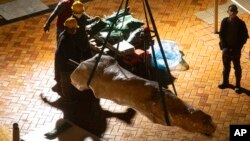 工人以吊臂把香港大学校园内的国殇之柱组件吊进货柜车。(2021年12月22日)