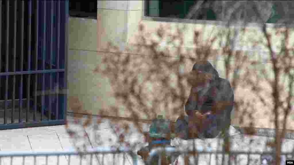 马永田在中国驻美国大使馆前绝食抗议(2015年12月9日美国之音渔沐拍摄)