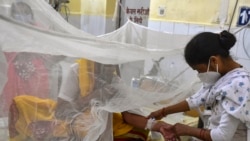 အိန္ဒိယမြောက်ပိုင်းမှာ သွေးလွန်တုပ်ကွေးကြောင့် လူ ၅၀ ထက်မနည်း သေဆုံး အိန္ဒိယမြောက်ပိုင်းမှာ သွေးလွန်တုပ်ကွေးကြောင့် လူ ၅၀ ထက်မနည်း သေဆုံး