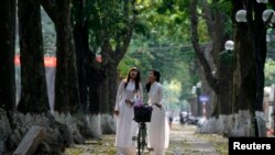 Thủ đô Hà Nội vốn nổi tiếng vì nét đẹp cổ kính với những ngõ phố rợp cây xanh bóng mát, trong số này có nhiều loại cây được xem là ‘di sản’ lâu đời.