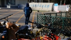 中国高校反性骚扰法治缺口 海外中国学生学者支持尽快立法 中国高校反性骚扰法治缺口 海外中国学生学者支持尽快立法