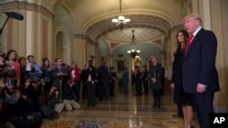 2016年11月10日,美国候任总统川普和夫人在国会会见参议院多数党领袖麦康奈尔后,对记者发表谈话