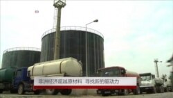 专家:非洲经济超越原材料 寻找新的驱动力 专家:非洲经济超越原材料 寻找新的驱动力