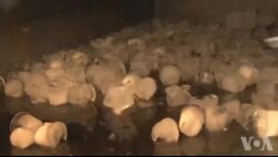 电力短缺阻碍非洲商业发展 电力短缺阻碍非洲商业发展