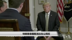 特朗普意图取消出生公民权 特朗普意图取消出生公民权