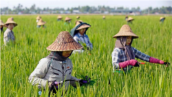 မြန်မာဖွံ့ဖြိုးရေးစီမံကိန်း၂၁ခုအတွက် တရုတ်က ဒေါ်လာ၆သန်းကျော်ကူညီမည် မြန်မာဖွံ့ဖြိုးရေးစီမံကိန်း၂၁ခုအတွက် တရုတ်က ဒေါ်လာ၆သန်းကျော်ကူညီမည်