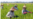16x9 Image