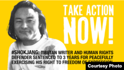 藏人作家珠洛(IFJ)