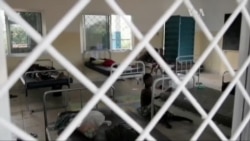 Як виглядає епідемія Еболи?