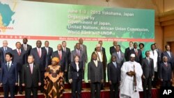 日本首相安倍晋三与出席东京非洲发展国际会议的非洲国家代表。(2013年6月1日)
