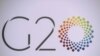 G-20 logo
