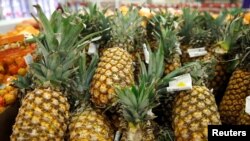 台湾人称为凤梨的菠萝