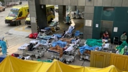 习近平责成援港抗疫 港医学界缄默 政治恐凌驾专业 习近平责成援港抗疫 港医学界缄默 政治恐凌驾专业