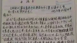 锁链女案戳破盛世脓包 引爆空前舆情危机 锁链女案戳破盛世脓包 引爆空前舆情危机