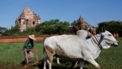 ပုဂံကို UNESCO ရဲ့ ကမ္ဘာ့ယဉ်ကျေးမှု အမွေအနှစ်စာရင်း ထည့်သွင်းမည် ပုဂံကို UNESCO ရဲ့ ကမ္ဘာ့ယဉ်ကျေးမှု အမွေအနှစ်စာရင်း ထည့်သွင်းမည်
