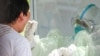 ရန်ကုန်က quarantine စင်တာတခုမှာ COVID-19 ရှိမရှိ စစ်ဆေးနေ