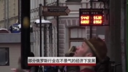部分俄罗斯行业在不景气经济下兴旺发展 部分俄罗斯行业在不景气经济下兴旺发展