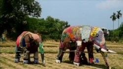 ရိုဟင်ဂျာ ဒုက္ခသည် စခန်းနဲ့ ဆင်အန္တရာယ် ရိုဟင်ဂျာ ဒုက္ခသည် စခန်းနဲ့ ဆင်အန္တရာယ်