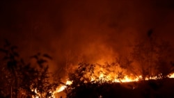 အမေဇုံအမြဲစိမ်းသစ်တော ထိန်းသိမ်းရေး G7 ယူရိုသန်း၂၀ ကူညီမည် အမေဇုံအမြဲစိမ်းသစ်တော ထိန်းသိမ်းရေး G7 ယူရိုသန်း၂၀ ကူညီမည်