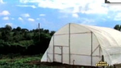 Студенти придумали робити теплиці з мішків Студенти придумали робити теплиці з мішків