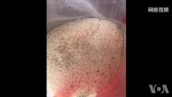 安徽民众抗议幼儿园变质食品遭维稳 涉案园长称不能浪费 安徽民众抗议幼儿园变质食品遭维稳 涉案园长称不能浪费