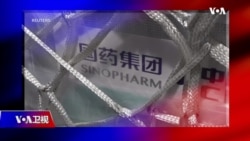 时事大家谈:中国惊爆假新冠疫苗 政府如何应对公信危机?货架扫空 国际市场该不该放行中国疫苗? 时事大家谈:中国惊爆假新冠疫苗 政府如何应对公信危机?货架扫空 国际市场该不该放行中国疫苗?