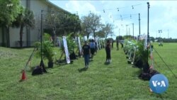 Parkland School Shooter to Face Death Penalty During September Trial  Parkland School Shooter to Face Death Penalty During September Trial