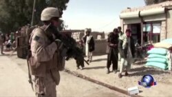 美国和北约正式结束阿富汗作战行动 美国和北约正式结束阿富汗作战行动