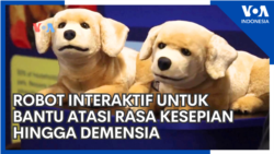 Robot Interaktif untuk Bantu Atasi Rasa Kesepian hingga Demensia Robot Interaktif untuk Bantu Atasi Rasa Kesepian hingga Demensia